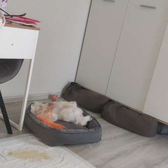 Лежанка для животных Homepet Silver Микровелюр 50*45*15см Серый: отзыв пользователя. Зоомагазин Зоозавр