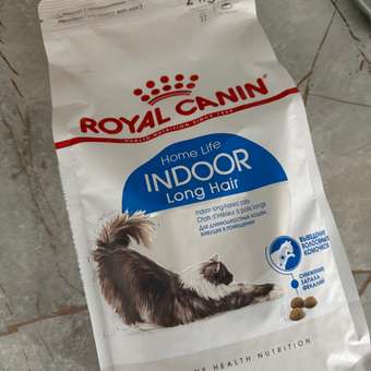 Корм сухой для кошек ROYAL CANIN Indoor Long Hair 2кг домашних длинношерстных: отзыв пользователя. Зоомагазин Зоозавр