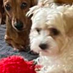 Фото отзыва 10969788