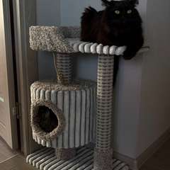 Фото отзыва 11688978