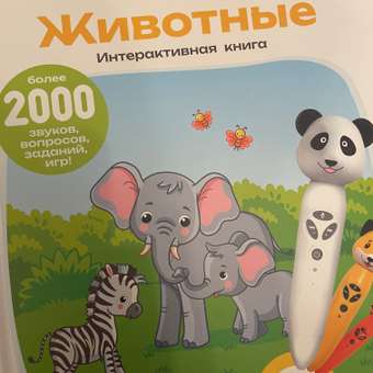Игрушка BertToys Тигренок+2 книги: отзыв пользователя Детский Мир