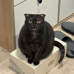 Фото отзыва 10673677