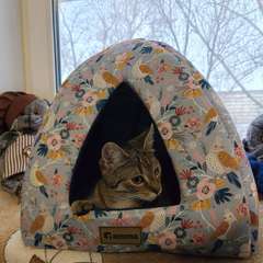 Фото отзыва 10821849