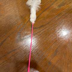 Фото отзыва 11058535