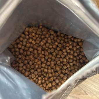 Корм для щенков Grandorf Fresh Dog Puppy Lamb/Sweet Potato Свежее мясо ягненка 3кг беззерн с жив пробиотиками: отзыв пользователя. Зоомагазин Зоозавр