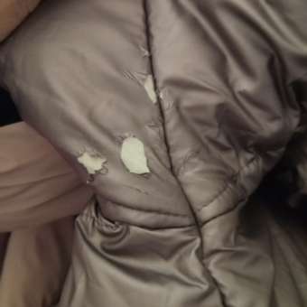 Пальто Futurino: отзыв пользователя Детский Мир