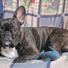 Фото отзыва 9899537