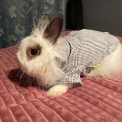 Фото отзыва 5629103