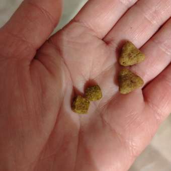 Корм для кошек ROYAL CANIN Indoor 27 взрослых живущих в помещении сухой 0.2кг: отзыв пользователя. Зоомагазин Зоозавр