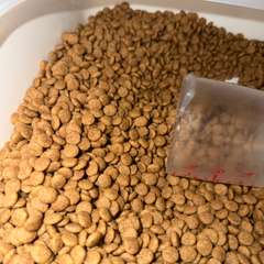 Фото отзыва 10980506