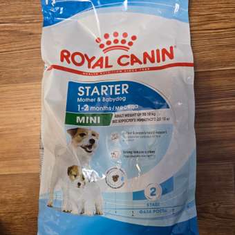 Корм для щенков ROYAL CANIN Starter мелких пород 1кг: отзыв пользователя. Зоомагазин Зоозавр