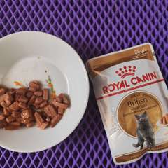 Фото отзыва 10941520