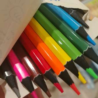 Карандаши цветные Brauberg 12 шт.: отзыв пользователя Детский Мир