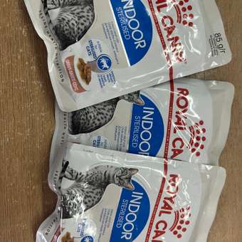 Корм влажный ROYAL CANIN Indoor Sterilised для кошек стерилизованных кусочки в желе: отзыв пользователя. Зоомагазин Зоозавр