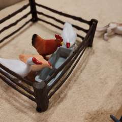 Фото отзыва 10575861