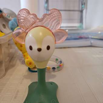 Прорезыватель HOLA: отзыв пользователя ДетМир