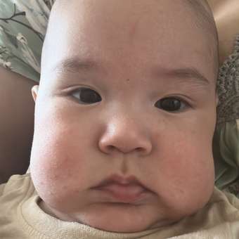 Смесь Similac Голд 1 800г с 0месяцев: отзыв пользователя Детский Мир