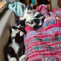 Фото отзыва 10582977