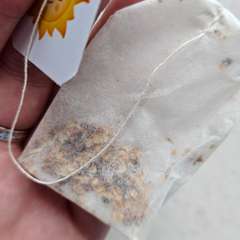 Фото отзыва 10601807