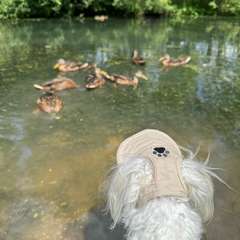 Фото отзыва 10030106