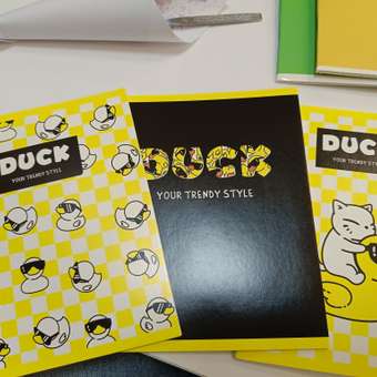 Тетрадь Erhaft клетка 24 лист. 1 шт. в ассортименте: отзыв пользователя ДетМир