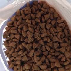 Фото отзыва 10613908