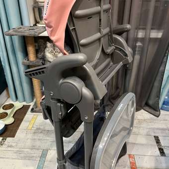 Стульчик для кормления Babyton Sweet Meals Pink розовый: отзыв пользователя Детский Мир