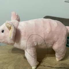 Фото отзыва 11184359