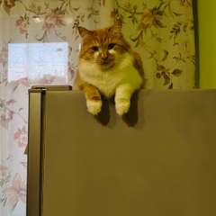 Фото отзыва 10742555