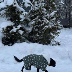 Фото отзыва 10948130