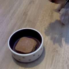 Видео отзыва 10843745