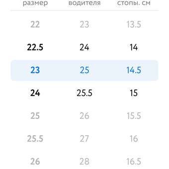 Чешки Бегура: отзыв пользователя Детский Мир