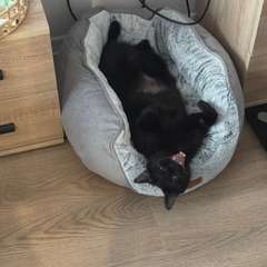 Фото отзыва 11149066