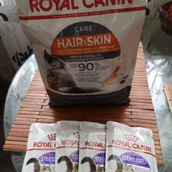 Корм сухой для кошек ROYAL CANIN Hair/Skin Care 2кг для поддержания здоровья кожи и шерсти: отзыв пользователя. Зоомагазин Зоозавр