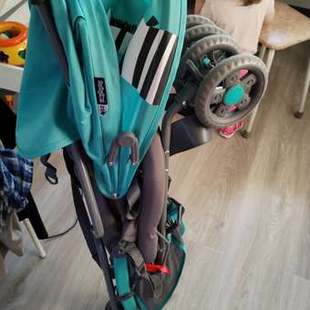 Коляска прогулочная Babyton Zoo Blue: отзыв пользователя ДетМир
