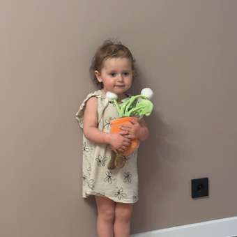 Фигурка-игрушка FUTURINO Home горшочек с одуванчиками: отзыв пользователя Детский Мир