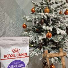 Фото отзыва 10801267