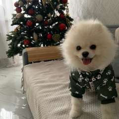 Фото отзыва 10841464