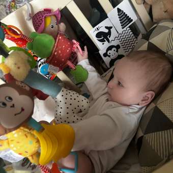 Дуга SHARKTOYS Зебра со съемными игрушками: отзыв пользователя Детский Мир