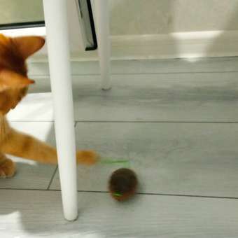 Игрушка для кошек Barbaks Мышь Сырогрыз с кошачьей мятой 16.5см: отзыв пользователя. Зоомагазин Зоозавр