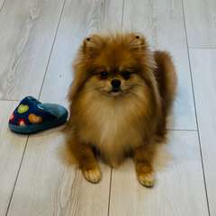 Фото отзыва 10931526