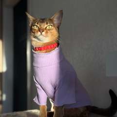 Фото отзыва 10751129