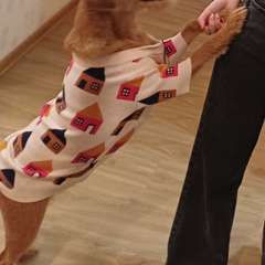 Фото отзыва 11026494