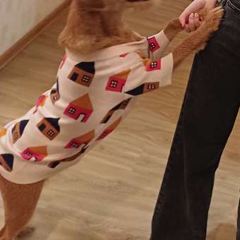 Джемпер для собак и кошек Зоозавр: отзыв пользователя. Зоомагазин Зоозавр