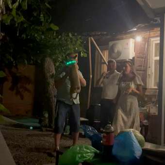Ошейник для собак Triol Nigt City шнурок светодиодный S Салатовый: отзыв пользователя. Зоомагазин Зоозавр