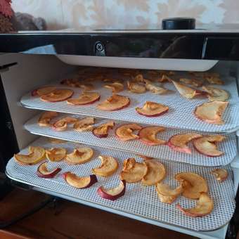 Сушилка для овощей и фруктов KITFORT КТ-1946: отзыв пользователя Детский Мир