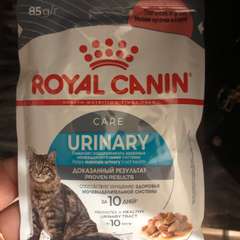 Фото отзыва 10704971