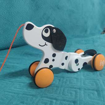 Игрушка Hape каталка Собачка: отзыв пользователя Детский Мир