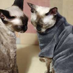 Фото отзыва 11125847