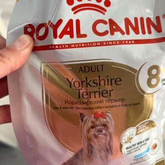 Корм для собак ROYAL CANIN породы йоркширский терьер 8+ пожилые 500г: отзыв пользователя. Зоомагазин Зоозавр